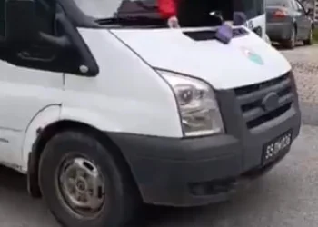 Samsun’da Sokak Köpeği Toplama Tepki Çekti