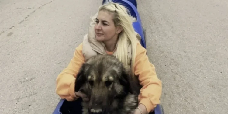 Mama vurgununda sanıklara 12 yıl hapis istemi