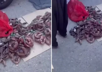 Uzmanlardan Kritik Uyarılar