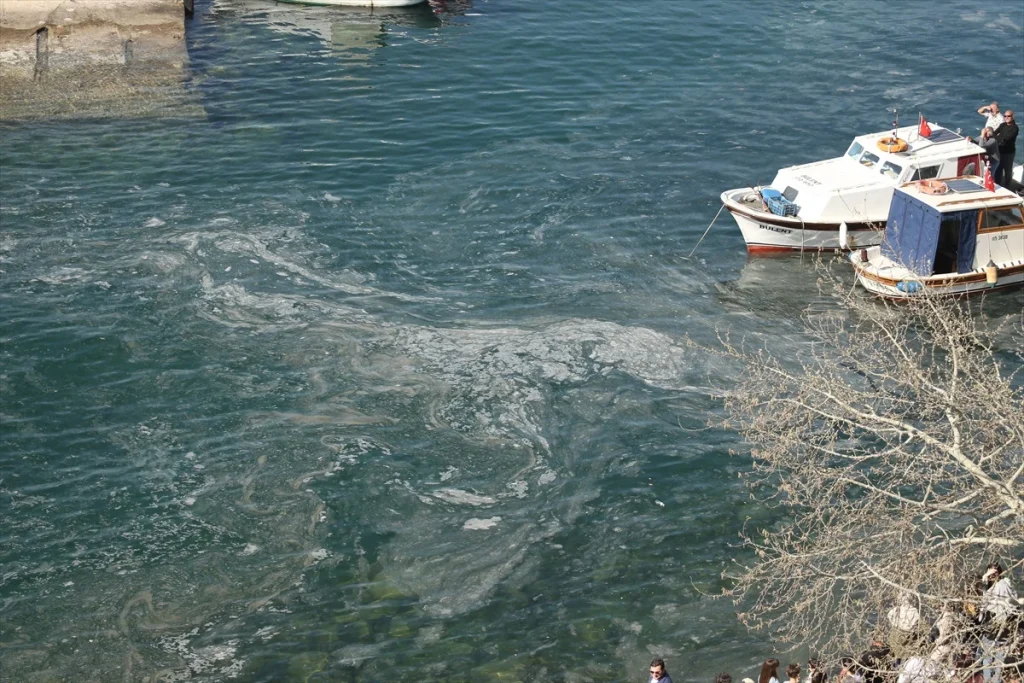 Çanakkale sahillerinde müsilaj riski artıyor
