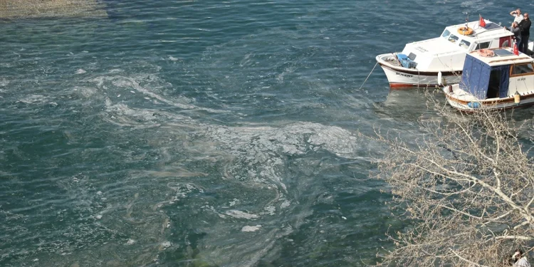 Çanakkale sahillerinde müsilaj riski artıyor