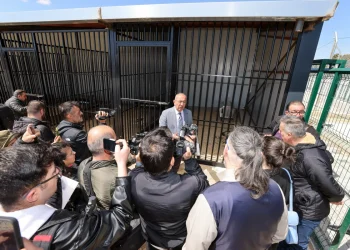 Konya Meram'da sahipsiz köpekler için çözüm adımı