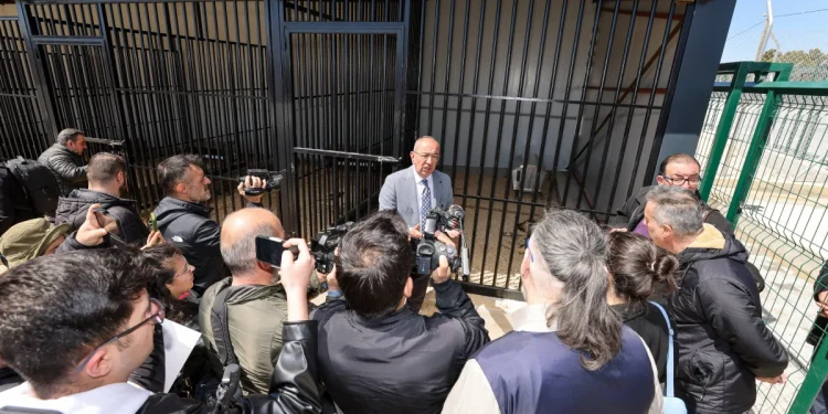 Konya Meram'da sahipsiz köpekler için çözüm adımı