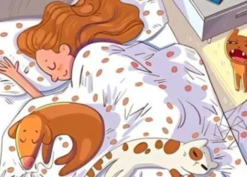 "Vizyon Testi: Resmin İçindeki Gizli Kuşu Bulabilen Dahiler!"