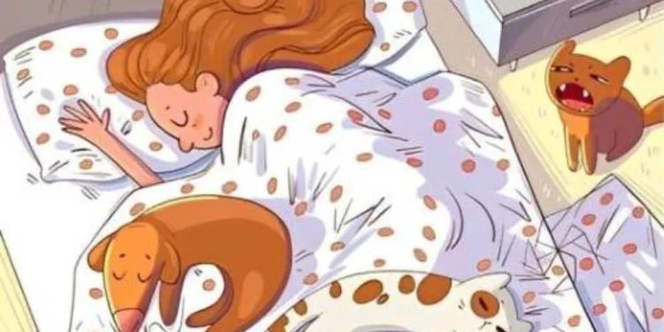 "Vizyon Testi: Resmin İçindeki Gizli Kuşu Bulabilen Dahiler!"