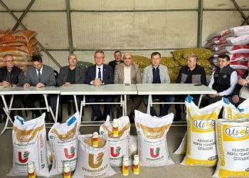 Tavşanlı'da Çiftçilere Nohut ve Aspir Tohumu Desteği Sağlandı