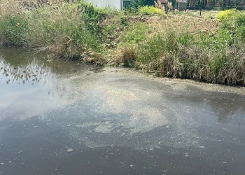 Yalova’da Skandal: Denize Atık Su, YASKİ’ye Ceza