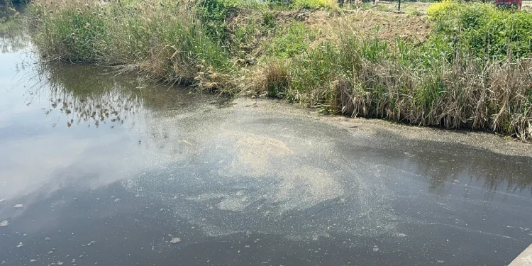 Yalova’da Skandal: Denize Atık Su, YASKİ’ye Ceza