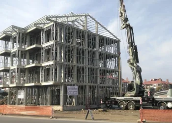 Bolu’da Doğanın Sessiz Tehdidi: Nadir Engerek Türü Kameralara Yansıdı