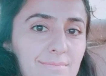 Bilecik'te Yıldırım Telefonla Konuşan Kişiyi Vurdu