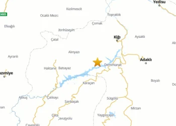 Bingöl 4.3, Adana 3.9 Şiddetinde Depremle Sarsıldı