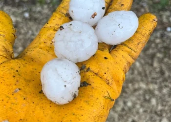 Kahramanmaraş’ta ceviz büyüklüğünde dolu şaşkınlığı