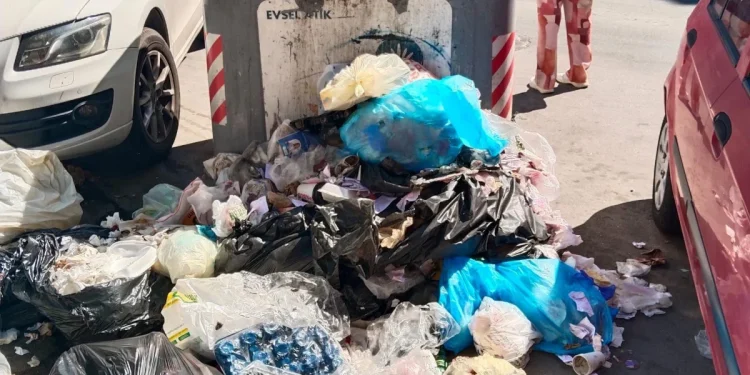İzmir'de Çöp Krizi Sürüyor: Soruna Çözüm Nerede?