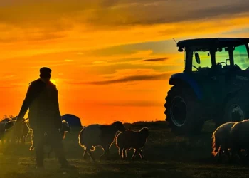 Hayvancılıkta Yabancı Çoban İçin Başvurular Başladı