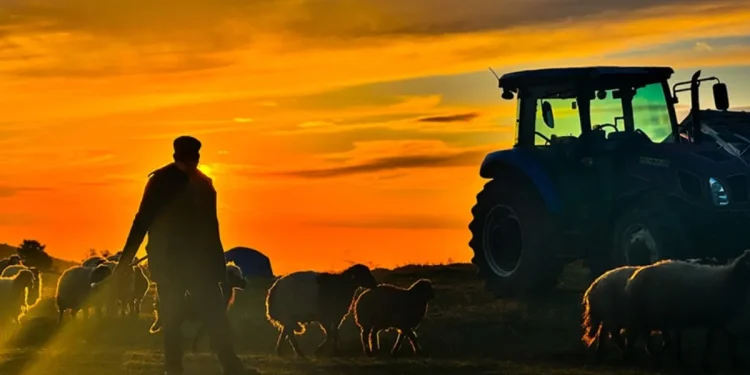 Hayvancılıkta Yabancı Çoban İçin Başvurular Başladı