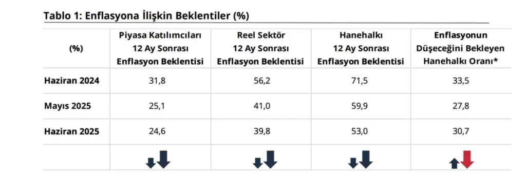 TCMB: Haziranda Sektörel Enflasyon Düşüşte