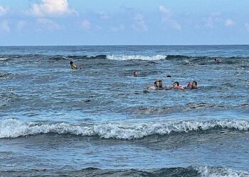 179 canı ölümün kıyısından aldılar