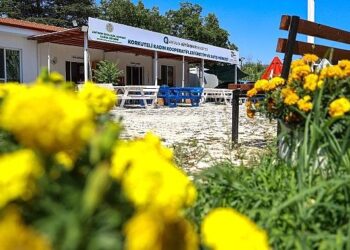 Büyükşehir’den kadınlara üretim desteği