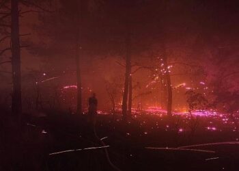 Çanakkale’ye yardıma giden İBB İtfaiyesi yoldayken Edirne Enez’deki yangına yönlendirildi