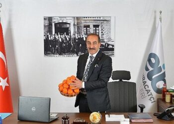 Ege Bölgesi Narenciye Rekoltesi 449 bin ton