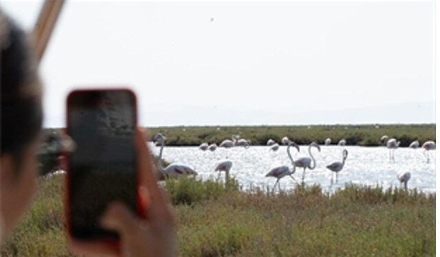 Flamingo Yolu turları başladı