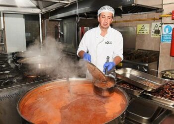 Gazi Tarım’da hasat zamanı