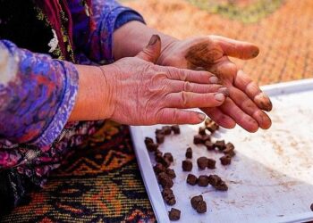 İnci GS Yuasa Akü’den doğaya 100.000 tohumluk katkı!