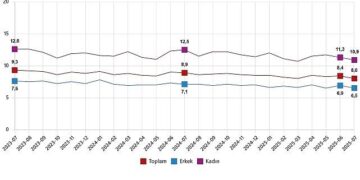 İşgücü İstatistikleri, Temmuz 2025