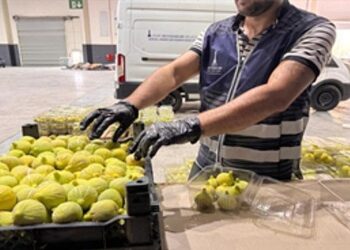 İzmir’de üreticiye ve ihtiyaç sahiplerine önemli destek