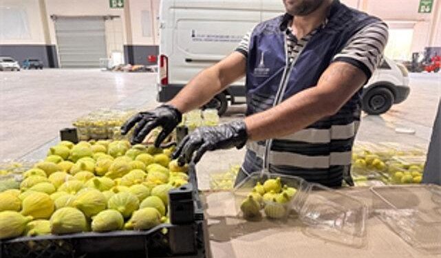 İzmir’de üreticiye ve ihtiyaç sahiplerine önemli destek