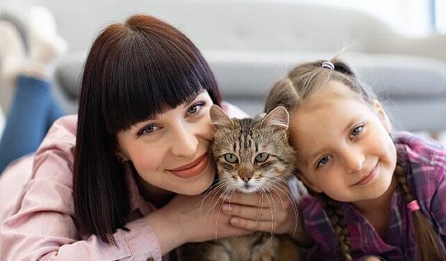 Kedilerin Hayatımıza Katkıları Sadece Sevgiyle Sınırlı Değil