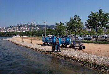 Kocaeli sahilleri hem bakımlı hem de pırıl pırıl