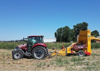 Kuru Fasulye Hasat Makinesi İnegöl Tarlalarında Mesaiye Başladı