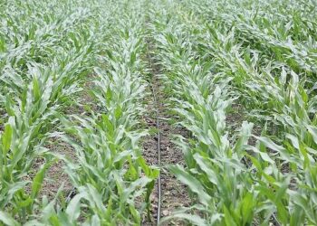 PepsiCo Suyun Geleceğini Koruma Konusunda Kararlı Adımlar Atmaya Devam Ediyor