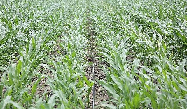 PepsiCo Suyun Geleceğini Koruma Konusunda Kararlı Adımlar Atmaya Devam Ediyor