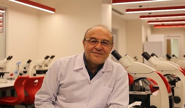 Pestisitler, arı nüfusunu da tehdit ediyor! Arıların yok oluşu zincirleme bir çöküşe sebep olur!