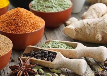 WorldFood İstanbul Fuarı’na 25 firmayla çıkarma yapacaklar