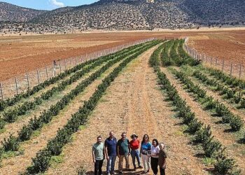 Büyükşehir’in hibeleri üreticinin yüzünü güldürdü