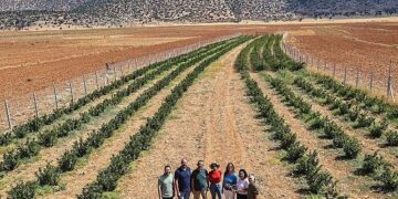 Büyükşehir’in hibeleri üreticinin yüzünü güldürdü