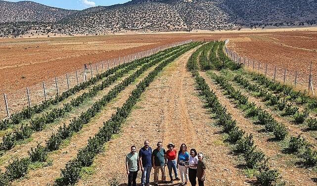 Büyükşehir’in hibeleri üreticinin yüzünü güldürdü