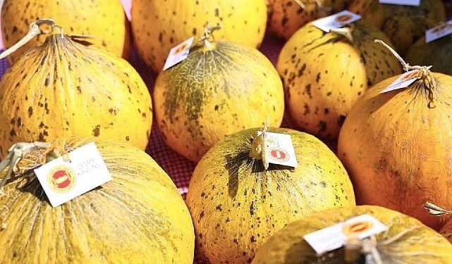 Çeşme, üretim kültürünü kutladı: 10. Ovacık Tarım ve Sakız Koyunu Festivali tamamlandı