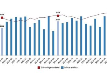 Dış Ticaret Endeksleri, Temmuz 2025