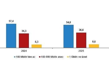 Girişimlerde Bilişim Teknolojileri Kullanım Araştırması, 2025
