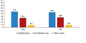 Girişimlerde Bilişim Teknolojileri Kullanım Araştırması, 2025