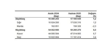 Hayvancılık İstatistikleri, Haziran 2025