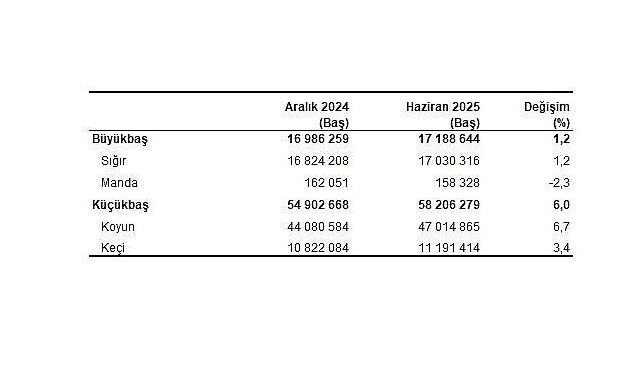 Hayvancılık İstatistikleri, Haziran 2025