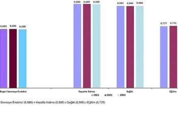 İl Seviyesinde Beşeri Sermaye Endeksi, 2021-2023