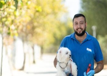 İzmir’de el konulan 20 cins köpek Işıkkent Köpek Bakımevi’nde
