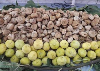 Kuru incirin ihracat yolculuğu 15 Ekim’de başlayacak