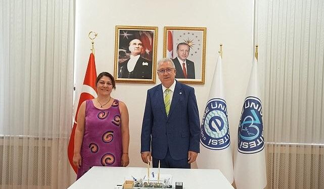 Omurilik hasarının tedavisine yeni bir soluk getirecek proje